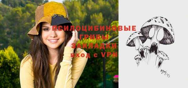 твердый Абинск
